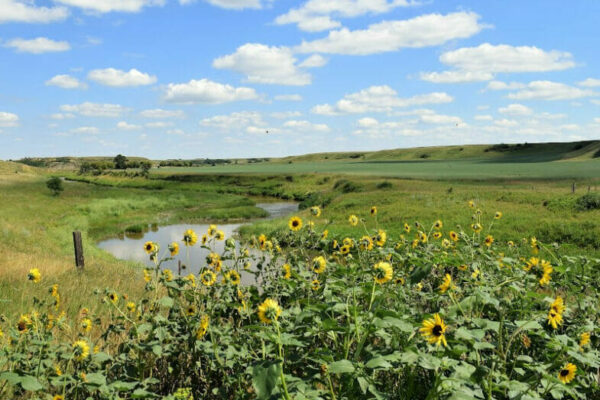 North Dakota Landscape